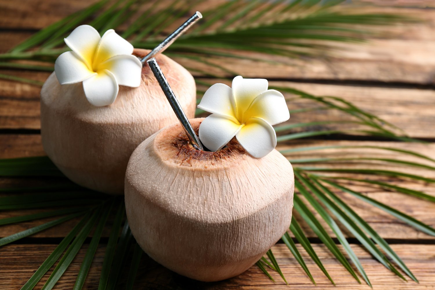Amazing coconuts