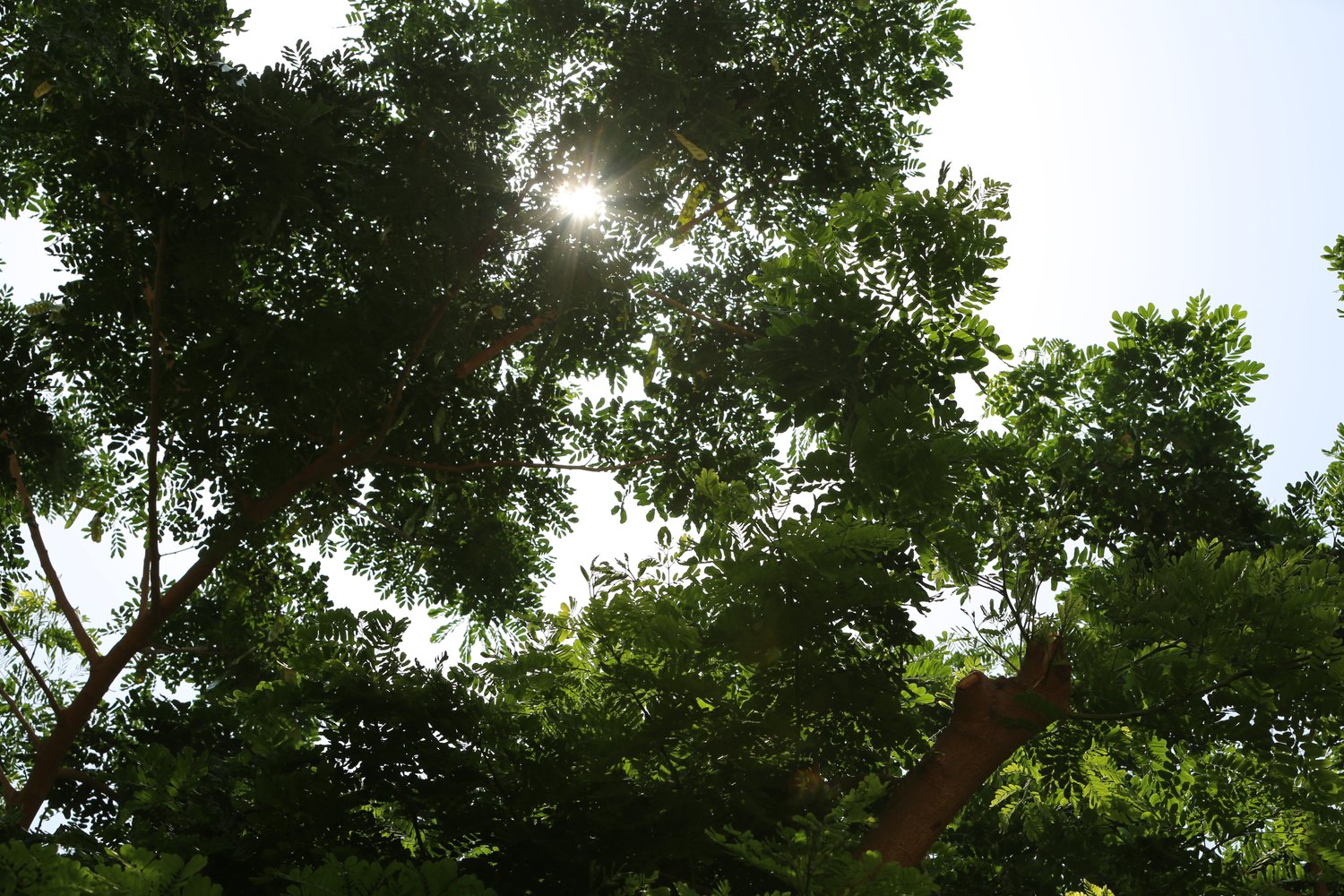 8 great tips to improve your lifestyle photography