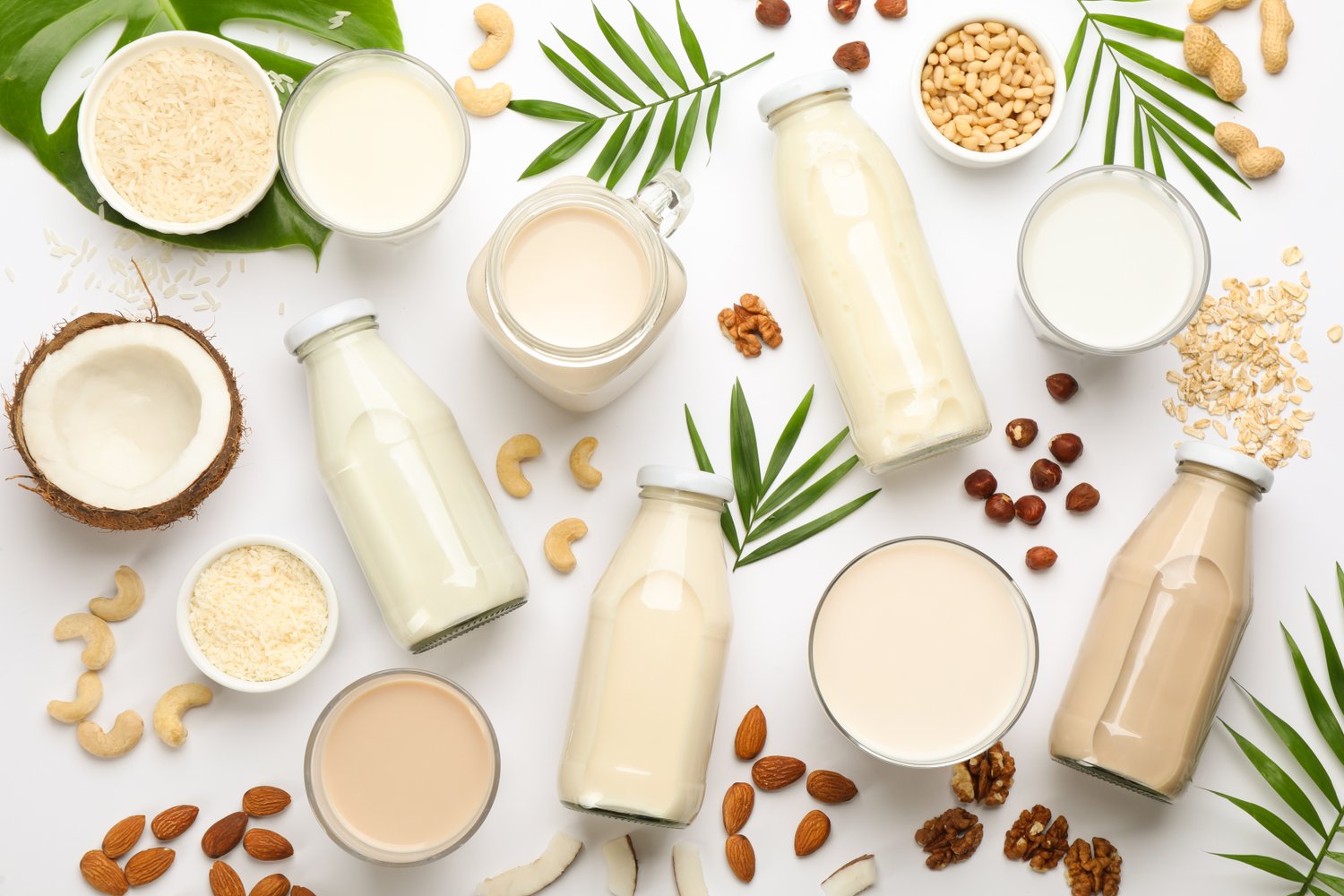 This milk is nuts: all you wanted to know about non-dairy milk