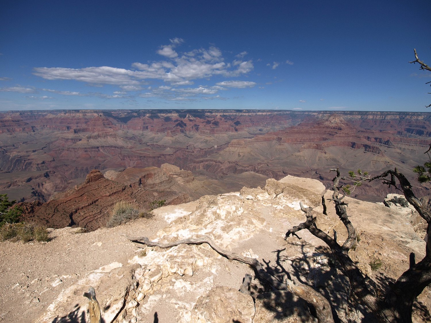 How to find a motivation to workout at home