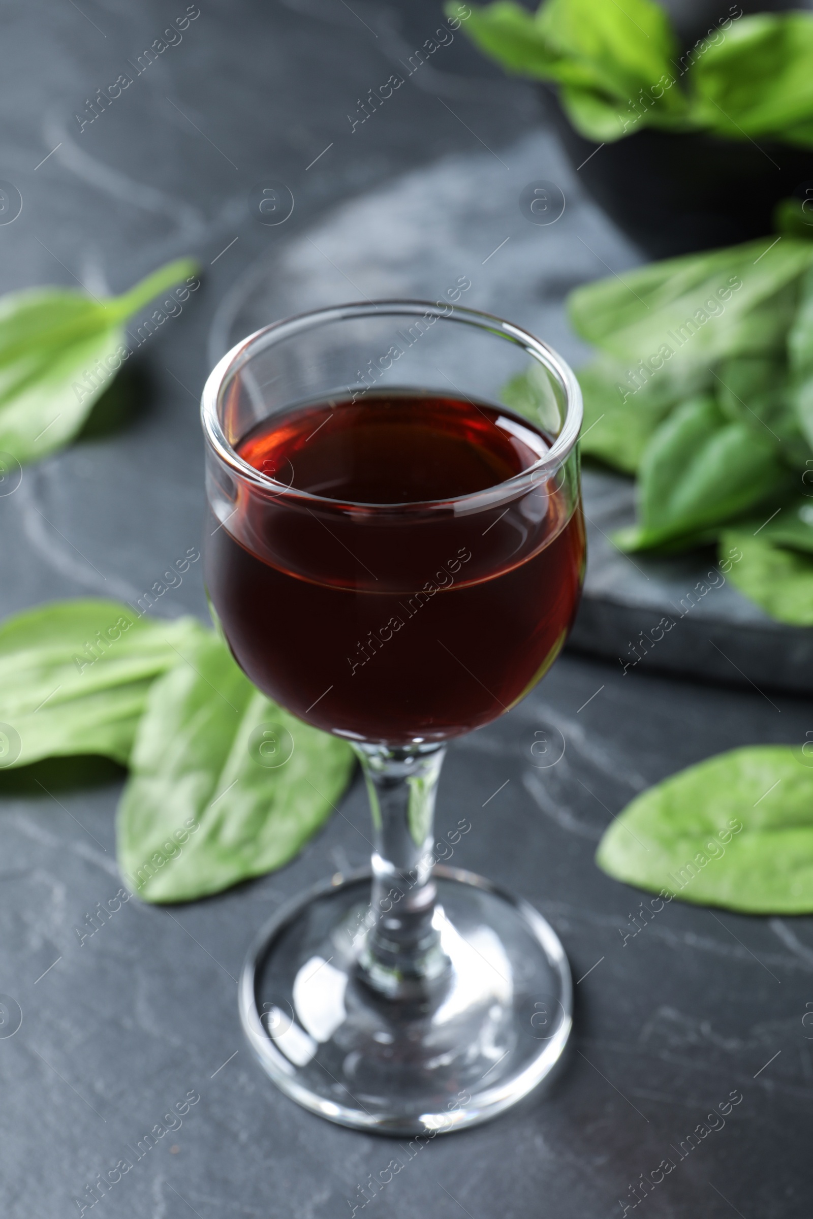 Glass of broadleaf plantain tincture on grey table Photo of Glass of broadleaf plantain tincture on grey table