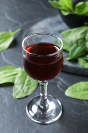 Glass of broadleaf plantain tincture on grey table Photo of Glass of broadleaf plantain tincture on grey table