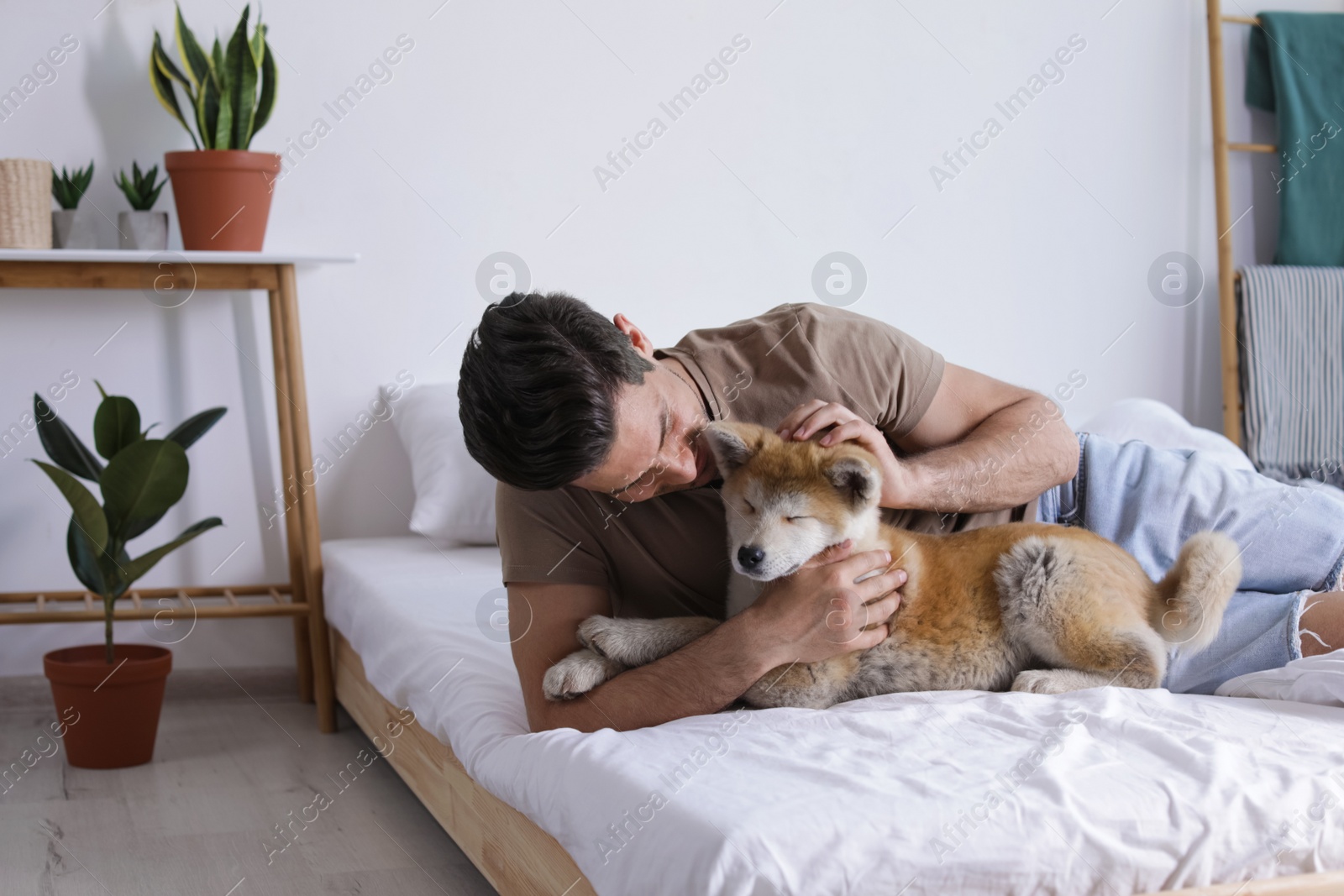 Happy man with his cute Akita Inu puppy at home Image of Happy man with his cute Akita Inu puppy at home