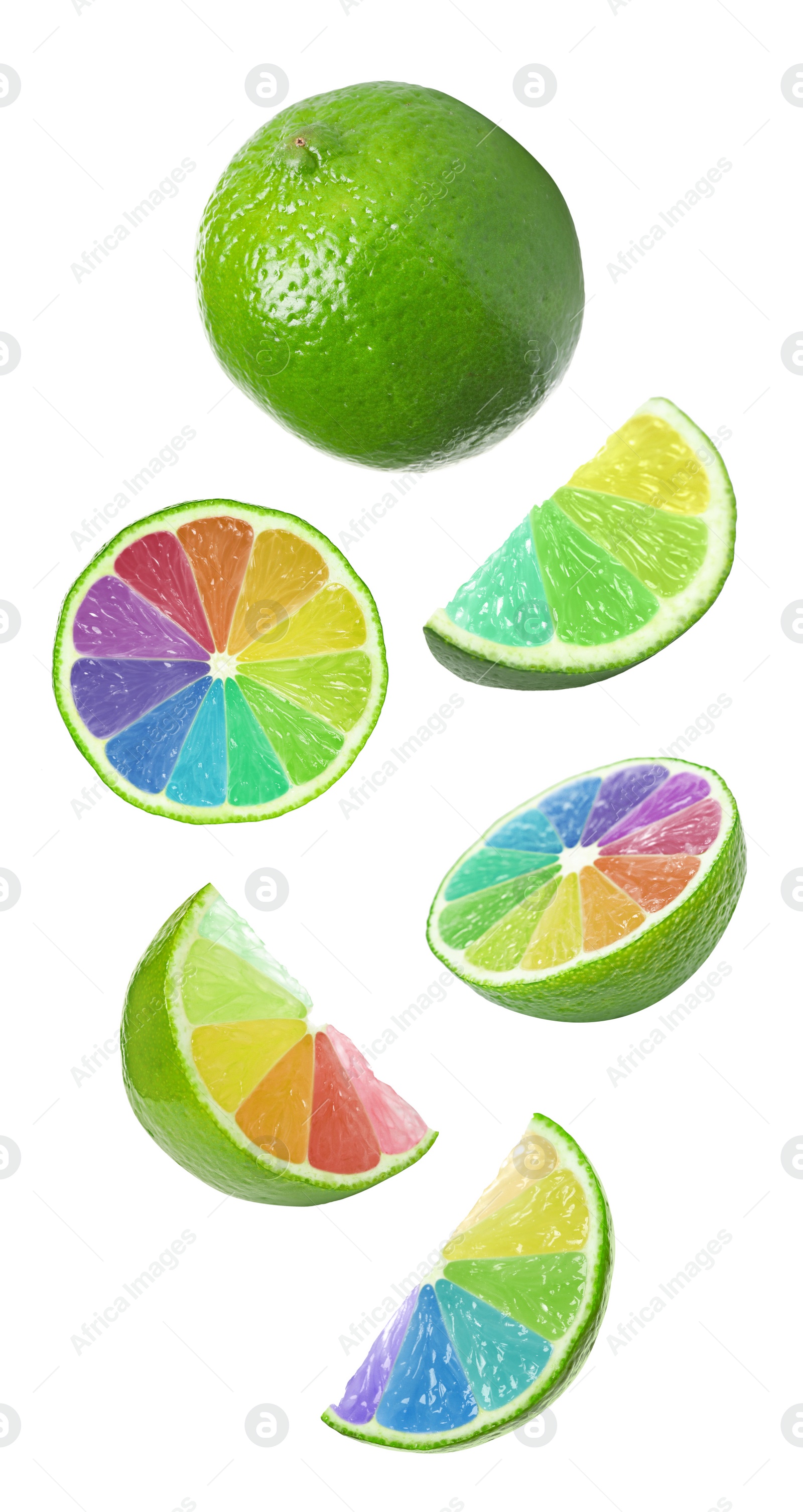 Fresh limes with rainbow segments falling on white background. Brighten your life Image of Fresh limes with rainbow segments falling on white background. Brighten your life
