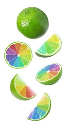 Fresh limes with rainbow segments falling on white background. Brighten your life Image of Fresh limes with rainbow segments falling on white background. Brighten your life