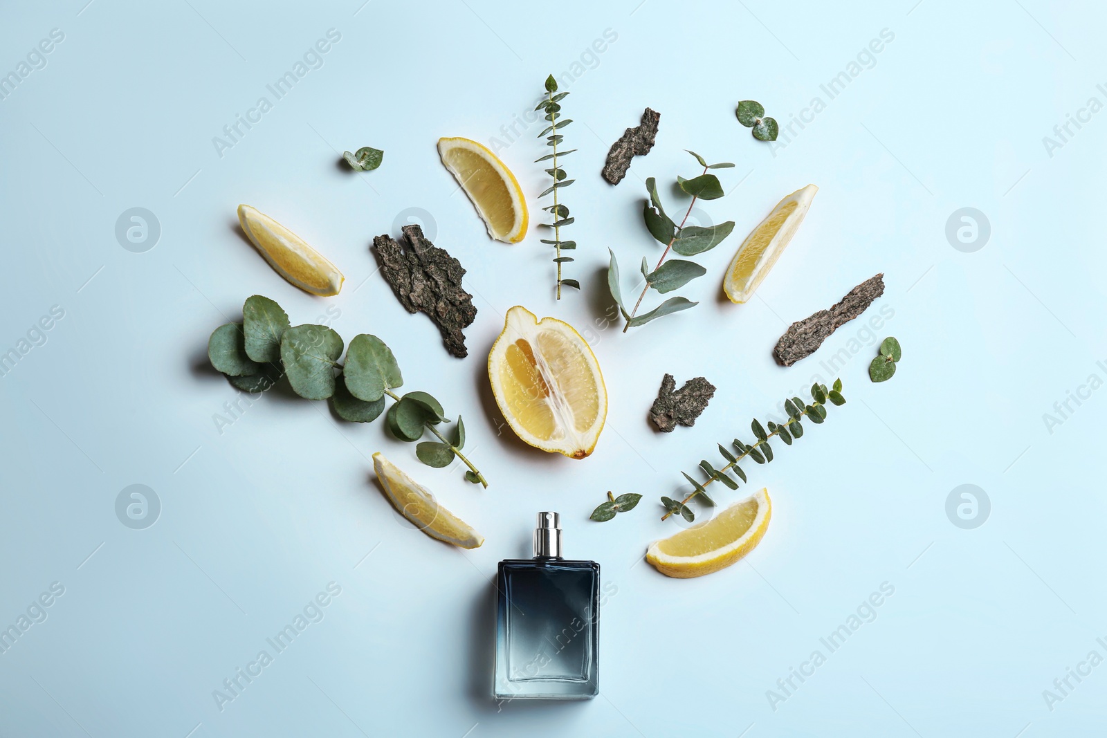 Beautiful composition with bottle of perfume, lemon, tree bark and eucalyptus on white background, flat lay Photo of Beautiful composition with bottle of perfume, lemon, tree bark and eucalyptus on white background, flat lay