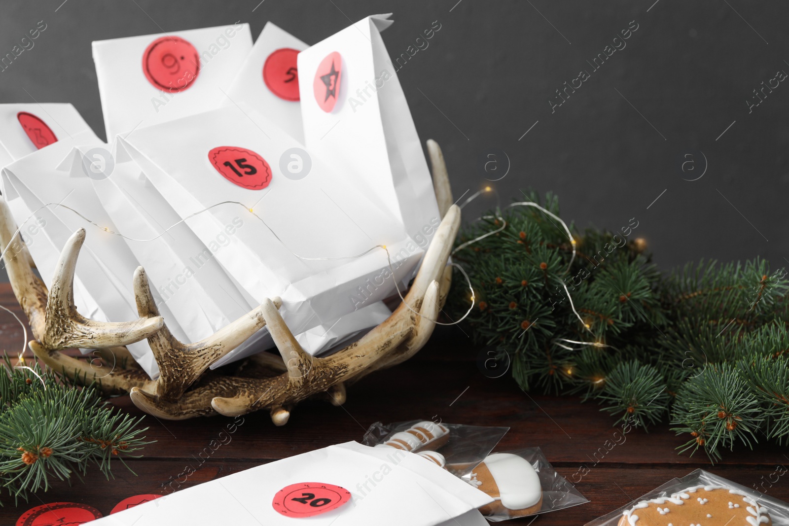 Gift bags, Christmas cookies and fir tree on wooden table. Creating advent calendar Photo of Gift bags, Christmas cookies and fir tree on wooden table. Creating advent calendar