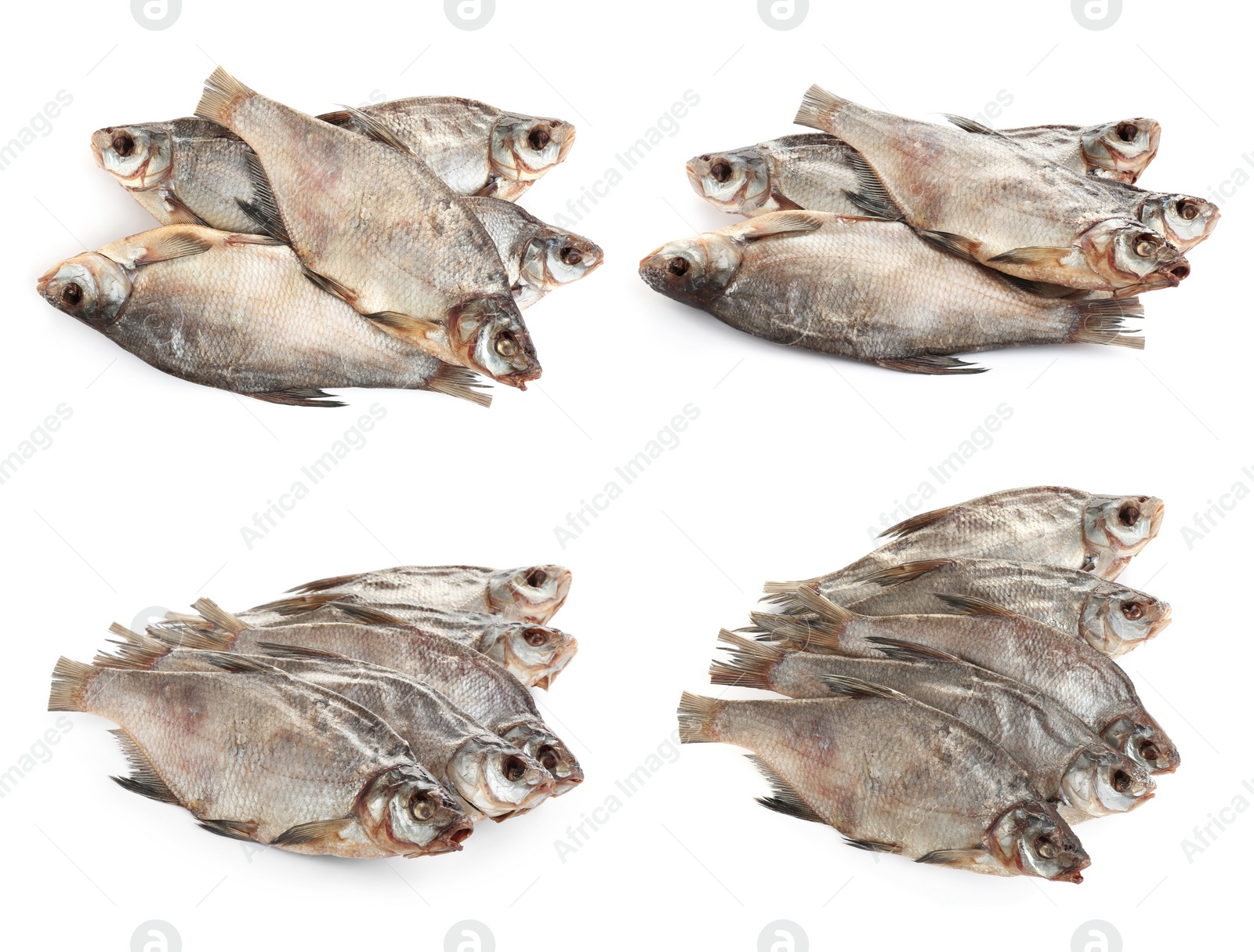 Set of tasty dry fish on white background Image of Set of tasty dry fish on white background