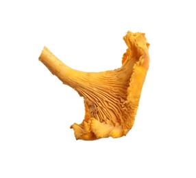 Fresh wild chanterelle mushroom isolated on white Photo of Fresh wild chanterelle mushroom isolated on white