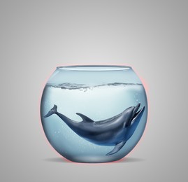 Dolphin in glass aquarium on light grey background. Anti-Captivity Campaign Image of Dolphin in glass aquarium on light grey background. Anti-Captivity Campaign