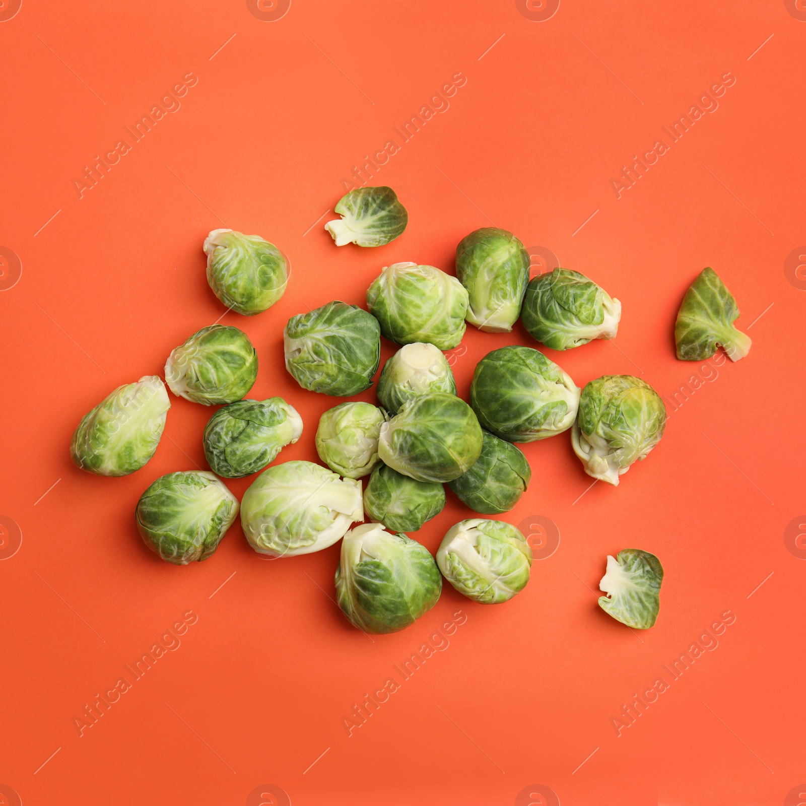Fresh Brussels sprouts on coral background, flat lay Photo of Fresh Brussels sprouts on coral background, flat lay