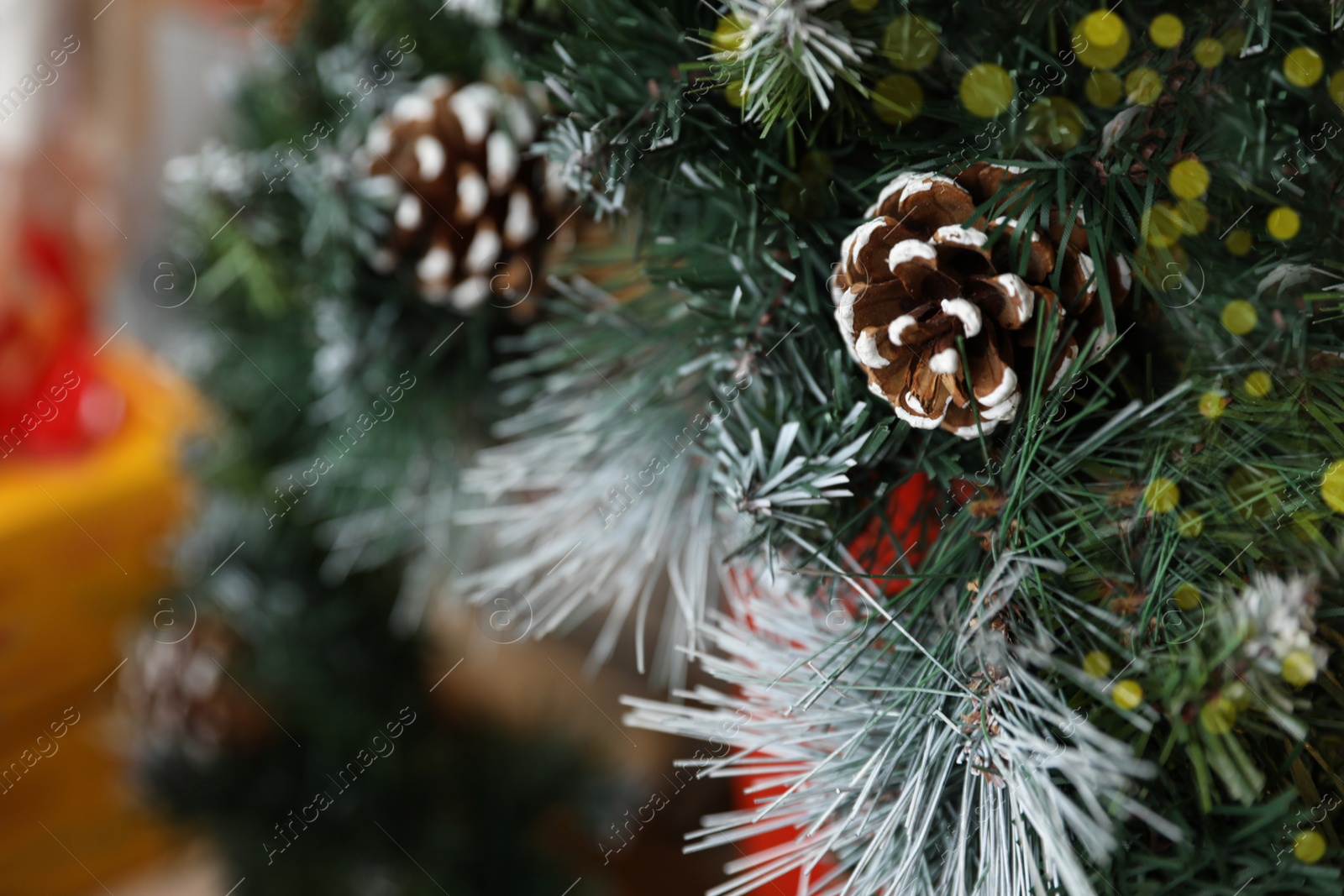 Fir tree branches with cones, closeup view. Christmas decor Photo of Fir tree branches with cones, closeup view. Christmas decor