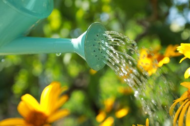 Sprinkling water onto flowers from watering can in beautiful garden, closeup Photo of Sprinkling water onto flowers from watering can in beautiful garden, closeup