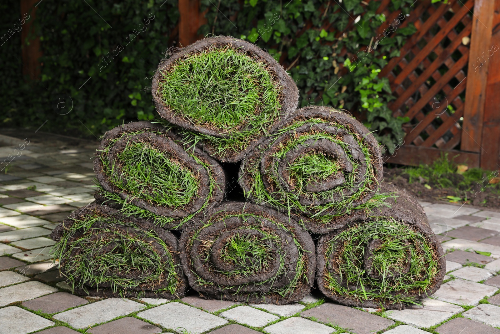 Rolls of sod with grass on backyard Photo of Rolls of sod with grass on backyard