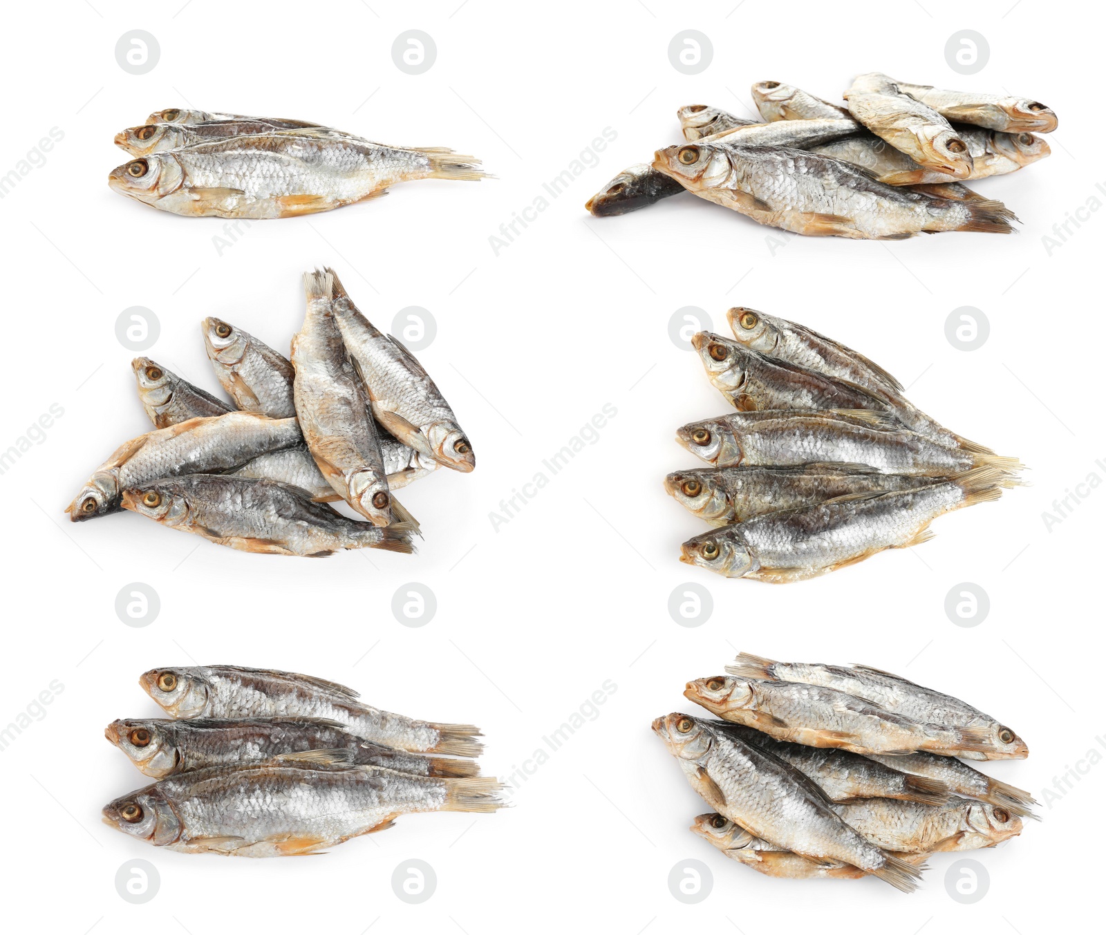 Image of Set of tasty dry fish on white background