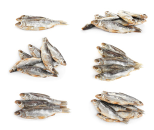 Set of tasty dry fish on white background Image of Set of tasty dry fish on white background