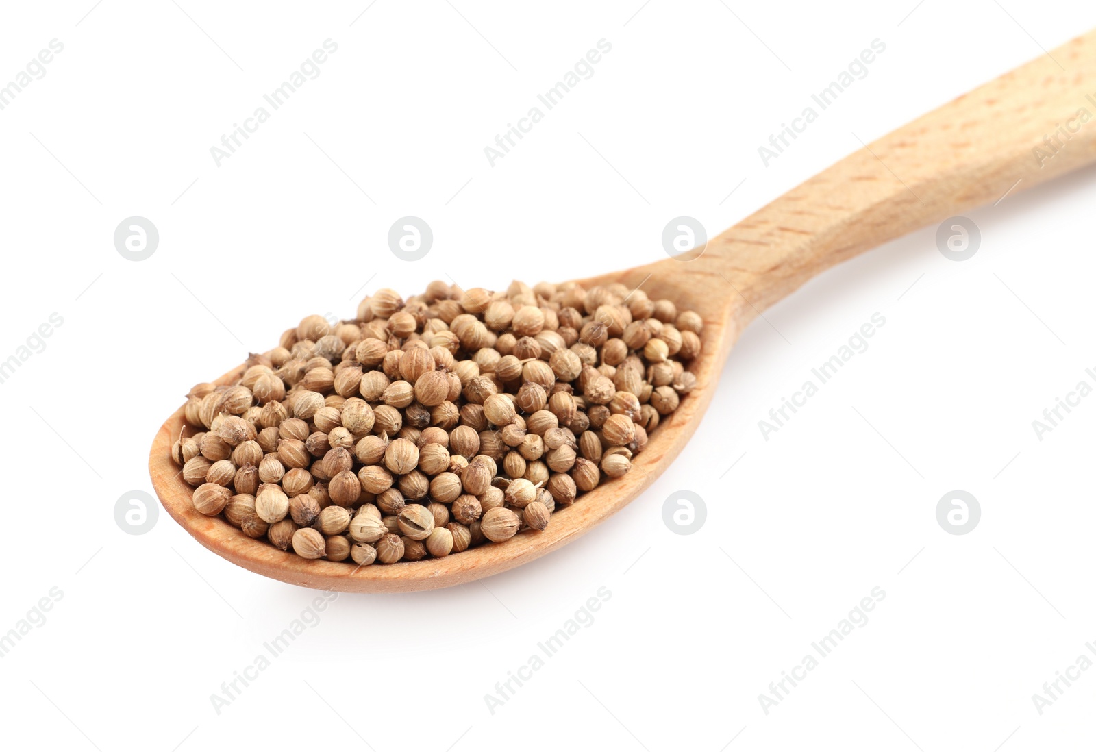 Dried coriander seeds with wooden spoon isolated on white Photo of Dried coriander seeds with wooden spoon isolated on white