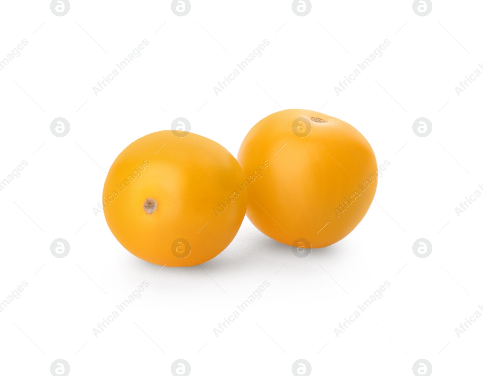 Delicious ripe yellow tomatoes isolated on white Photo of Delicious ripe yellow tomatoes isolated on white