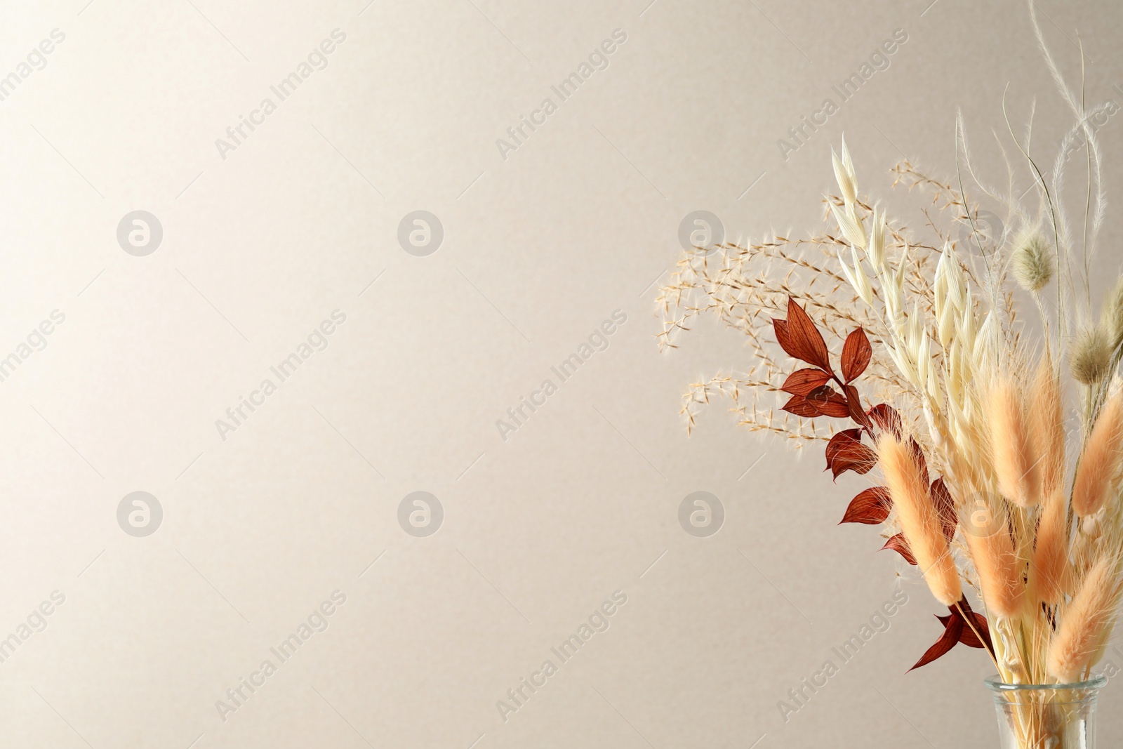 Dried flowers in vase against light background. Space for text Photo of Dried flowers in vase against light background. Space for text