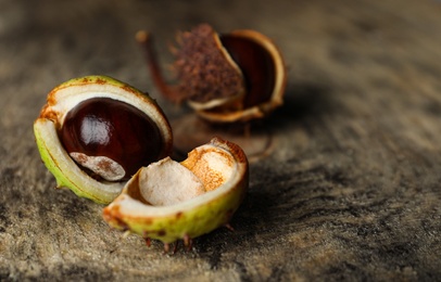 Horse chestnuts on wooden table, closeup view. Space for text Photo of Horse chestnuts on wooden table, closeup view. Space for text