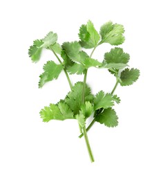 Aromatic fresh green cilantro isolated on white, top view Photo of Aromatic fresh green cilantro isolated on white, top view