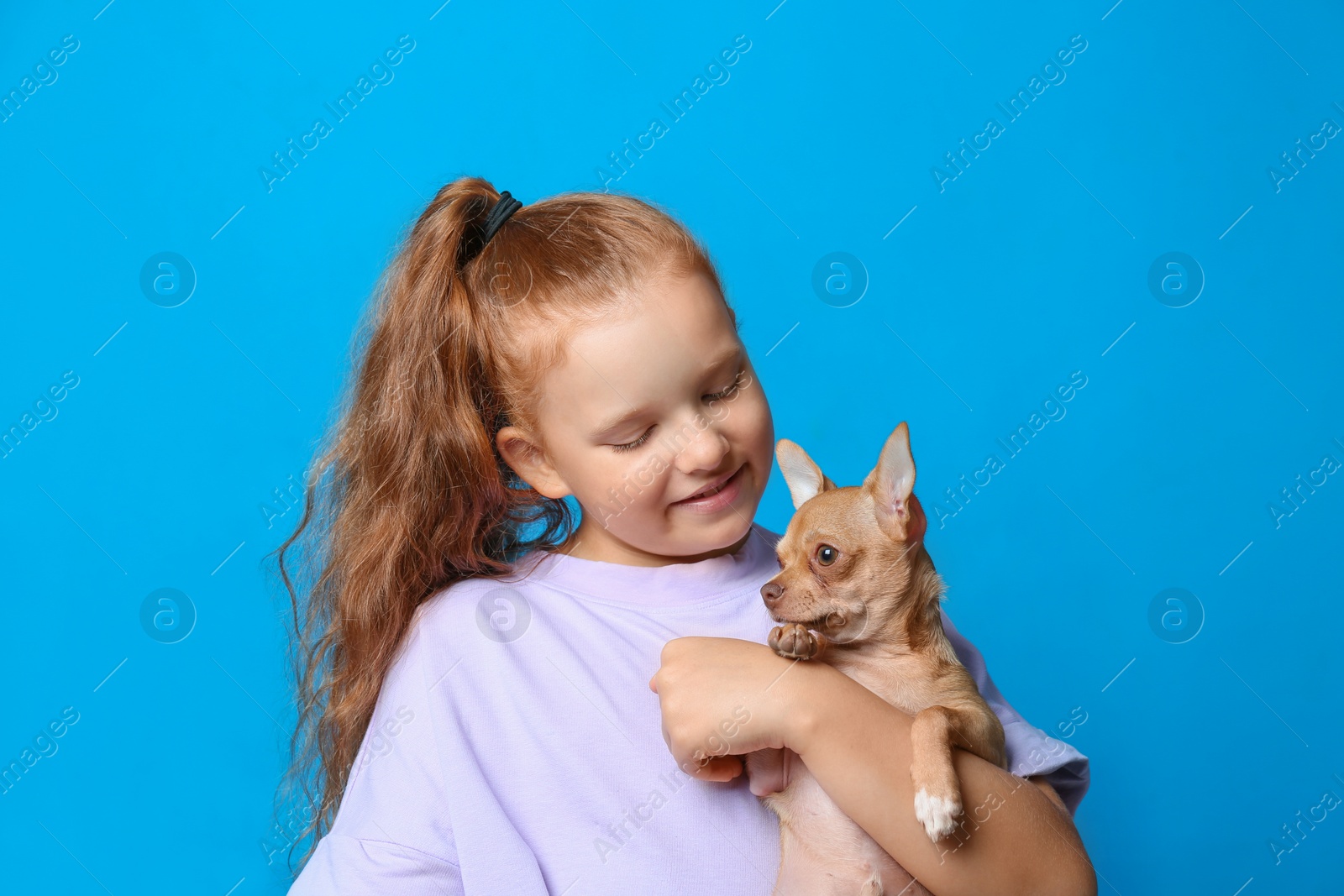 Little girl with her Chihuahua dog on light blue background. Childhood pet Photo of Little girl with her Chihuahua dog on light blue background. Childhood pet