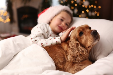 Cute little girl in Santa hat lying in bed near her English Cocker Spaniel. Christmas celebration Photo of Cute little girl in Santa hat lying in bed near her English Cocker Spaniel. Christmas celebration