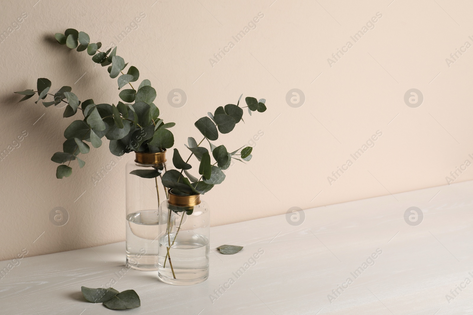 Vases with beautiful eucalyptus branches on white wooden table near beige wall. Space for text Photo of Vases with beautiful eucalyptus branches on white wooden table near beige wall. Space for text