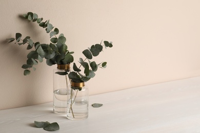 Vases with beautiful eucalyptus branches on white wooden table near beige wall. Space for text Photo of Vases with beautiful eucalyptus branches on white wooden table near beige wall. Space for text