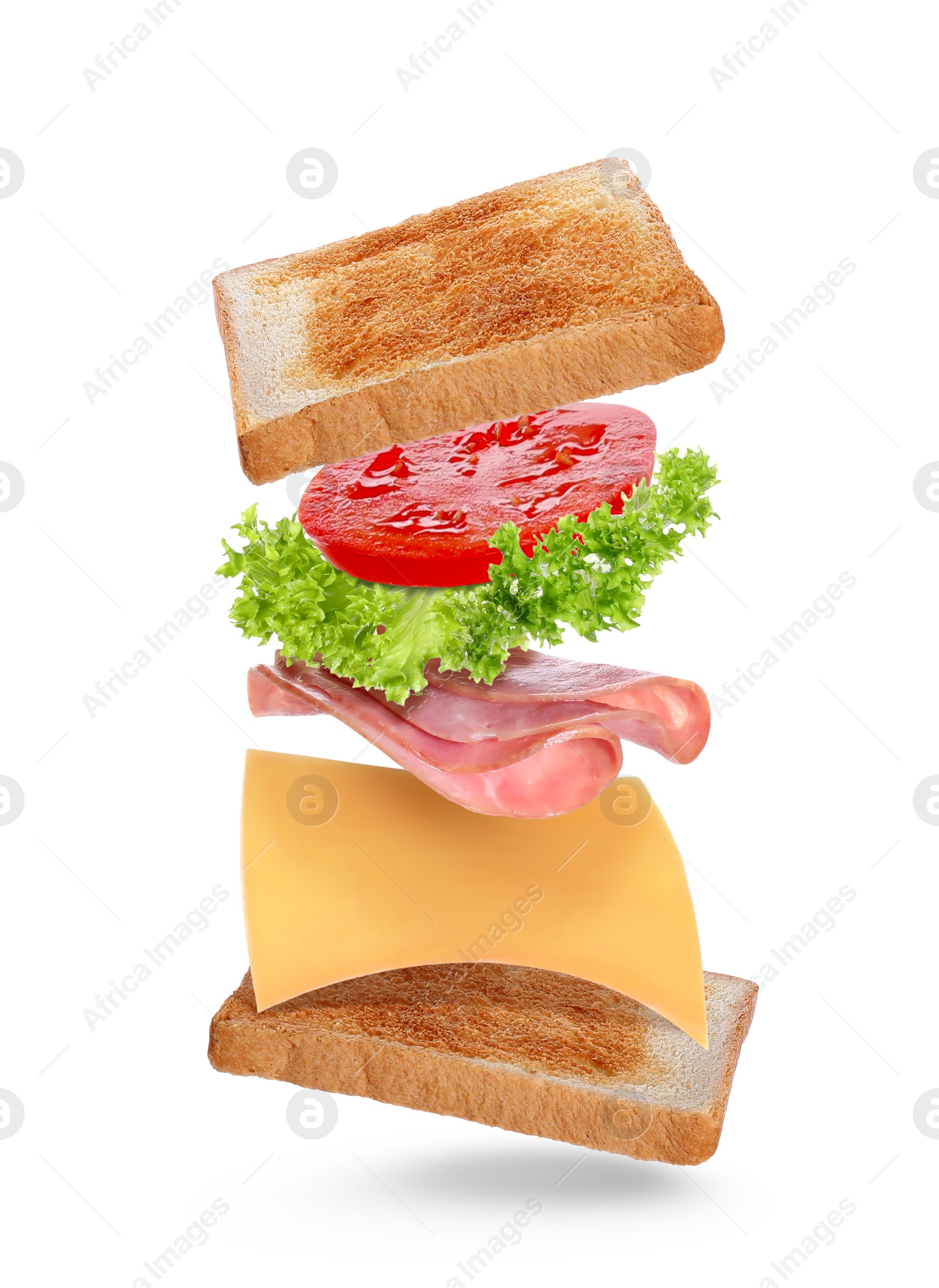 Delicious sandwich with toasted bread on white background Image of Delicious sandwich with toasted bread on white background