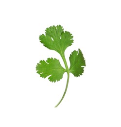 Aromatic fresh green cilantro isolated on white Photo of Aromatic fresh green cilantro isolated on white