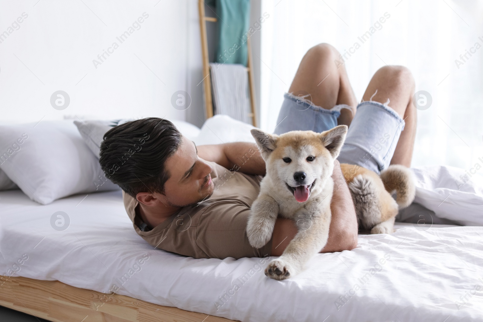 Happy man with his cute Akita Inu puppy at home Image of Happy man with his cute Akita Inu puppy at home
