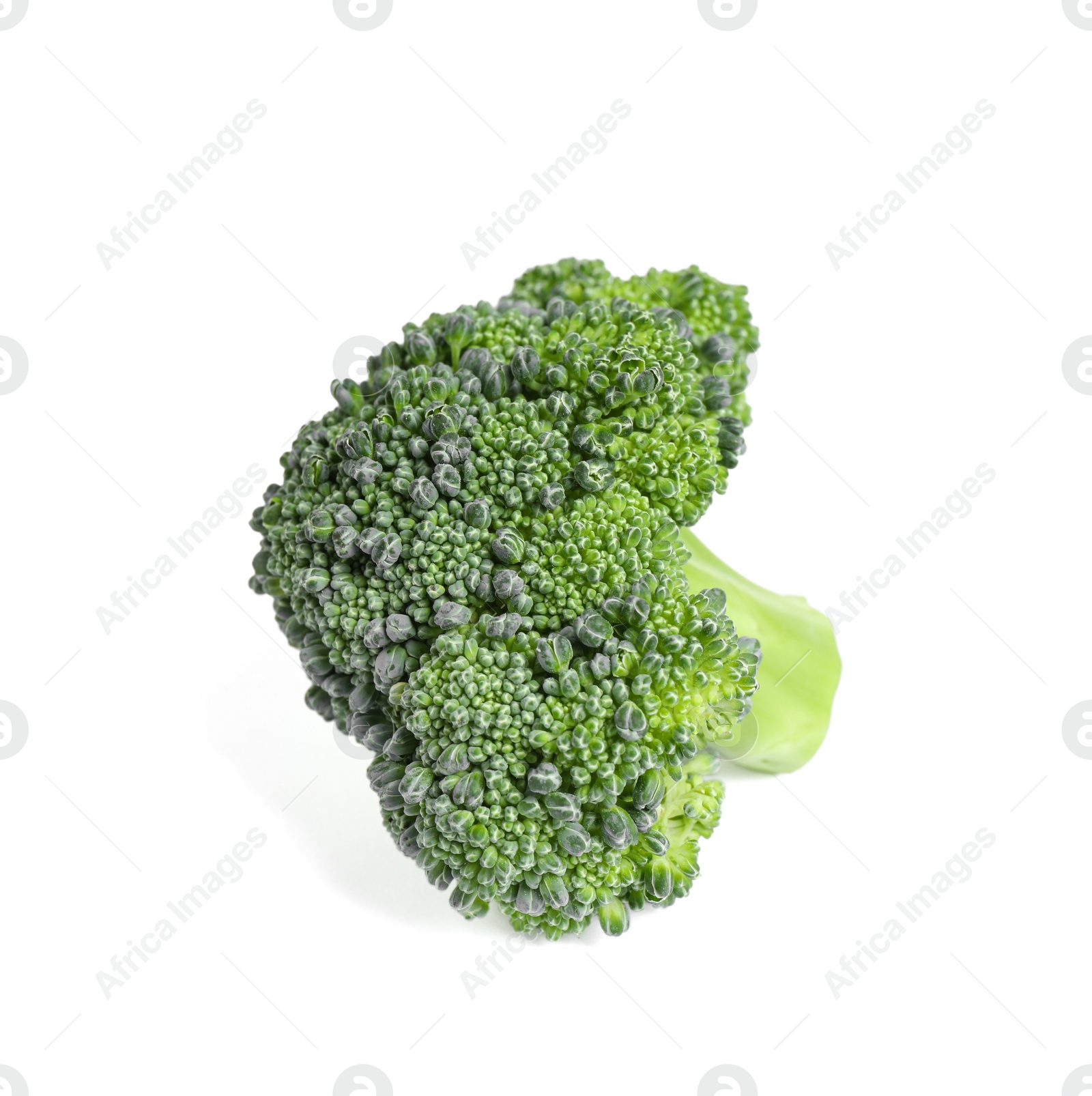 Fresh green raw broccoli on white background Photo of Fresh green raw broccoli on white background