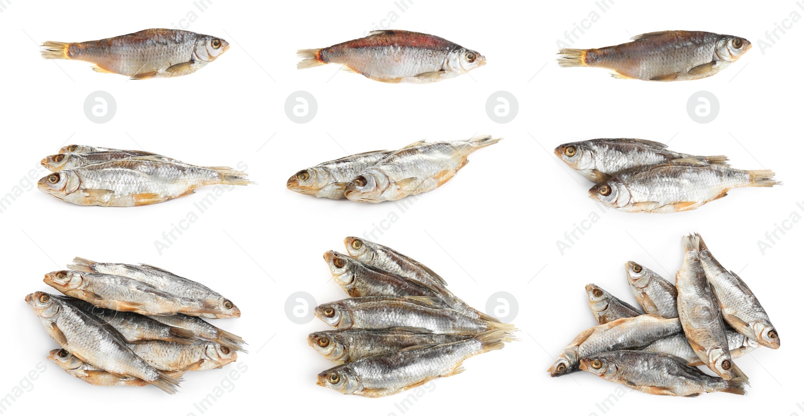 Set of tasty dry fish on white background Image of Set of tasty dry fish on white background