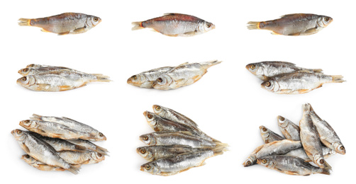 Set of tasty dry fish on white background Image of Set of tasty dry fish on white background
