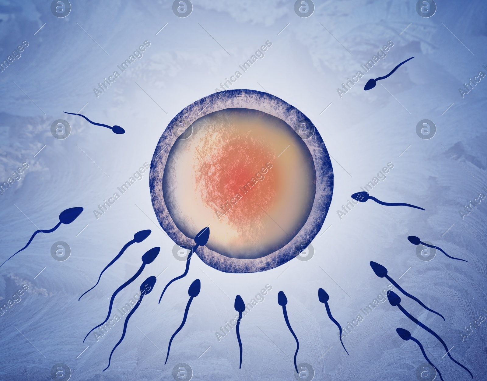 Cryopreservation of genetic material. Sperm cells and ovum on blue background, frost effect Illustration of Cryopreservation of genetic material. Sperm cells and ovum on blue background, frost effect