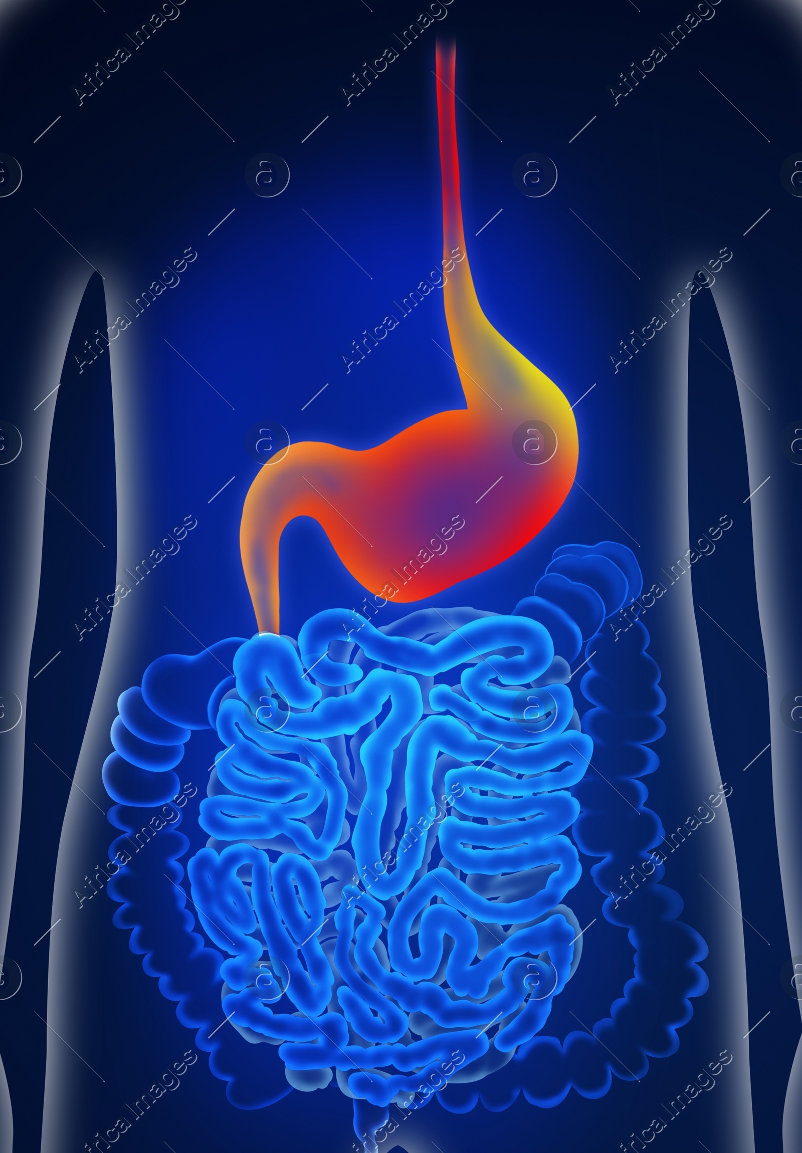 Illustration of man suffering from stomach disease. Gastroenterology Illustration of man suffering from stomach disease. Gastroenterology