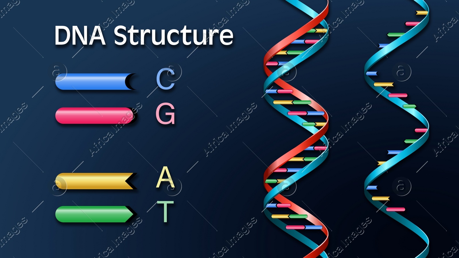 Poster showing DNA structure on blue background. Illustration Illustration of Poster showing DNA structure on blue background. Illustration