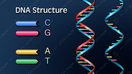 Poster showing DNA structure on blue background. Illustration Illustration of Poster showing DNA structure on blue background. Illustration