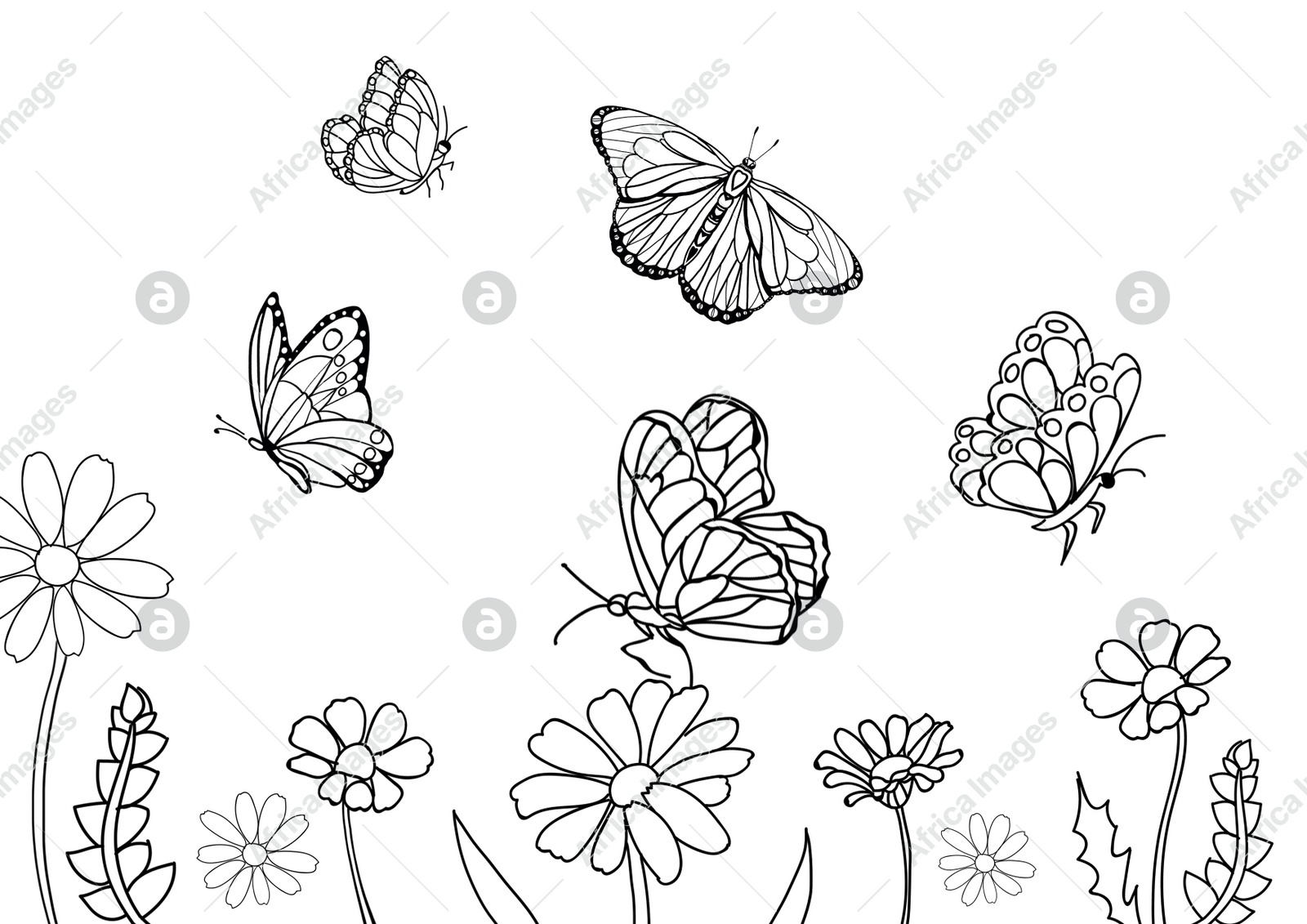 Butterflies and beautiful flowers on white background, illustration. Coloring page Illustration of Butterflies and beautiful flowers on white background, illustration. Coloring page