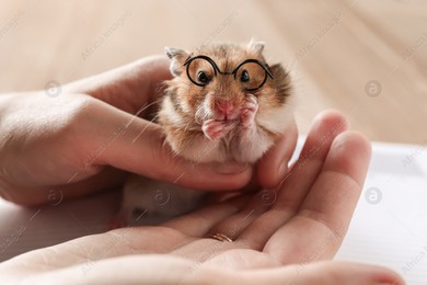Owner holding cute little hamster with glasses, closeup Photo of Owner holding cute little hamster with glasses, closeup