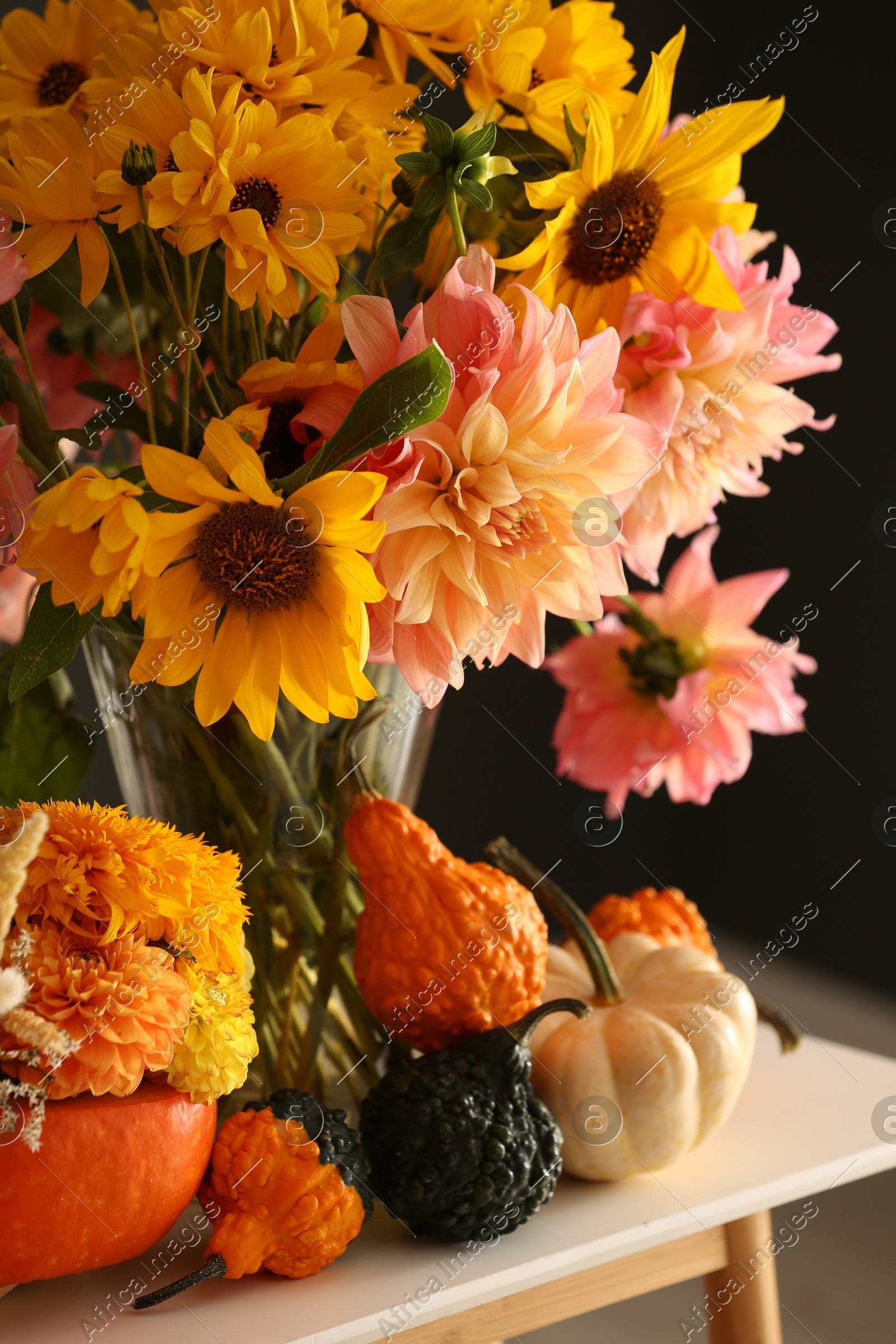 Autumn composition with beautiful flowers and pumpkins on white table near dark grey wall Photo of Autumn composition with beautiful flowers and pumpkins on white table near dark grey wall