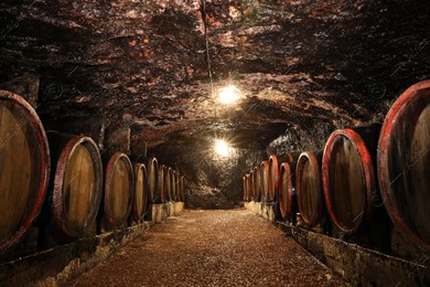 Bene, Ukraine - June 23, 2023: Many wooden barrels with alcohol drinks in cellar Photo of Bene, Ukraine - June 23, 2023: Many wooden barrels with alcohol drinks in cellar