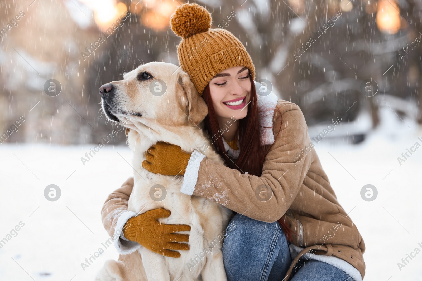 Beautiful young woman hugging cute Labrador Retriever on winter day outdoors Photo of Beautiful young woman hugging cute Labrador Retriever on winter day outdoors