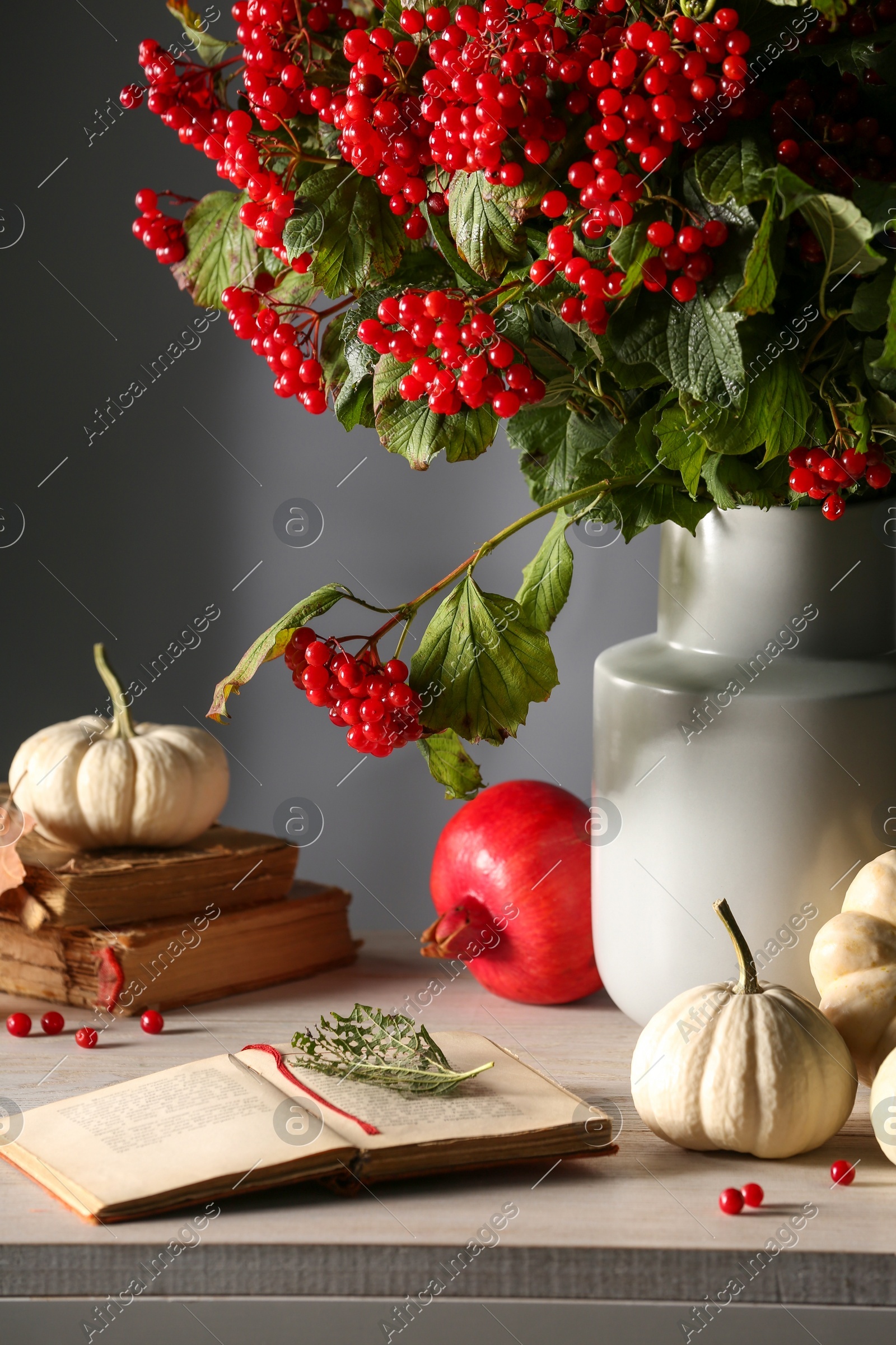 Composition with ripe red viburnum berries, books and pumpkins on table. Cozy autumn atmosphere Photo of Composition with ripe red viburnum berries, books and pumpkins on table. Cozy autumn atmosphere