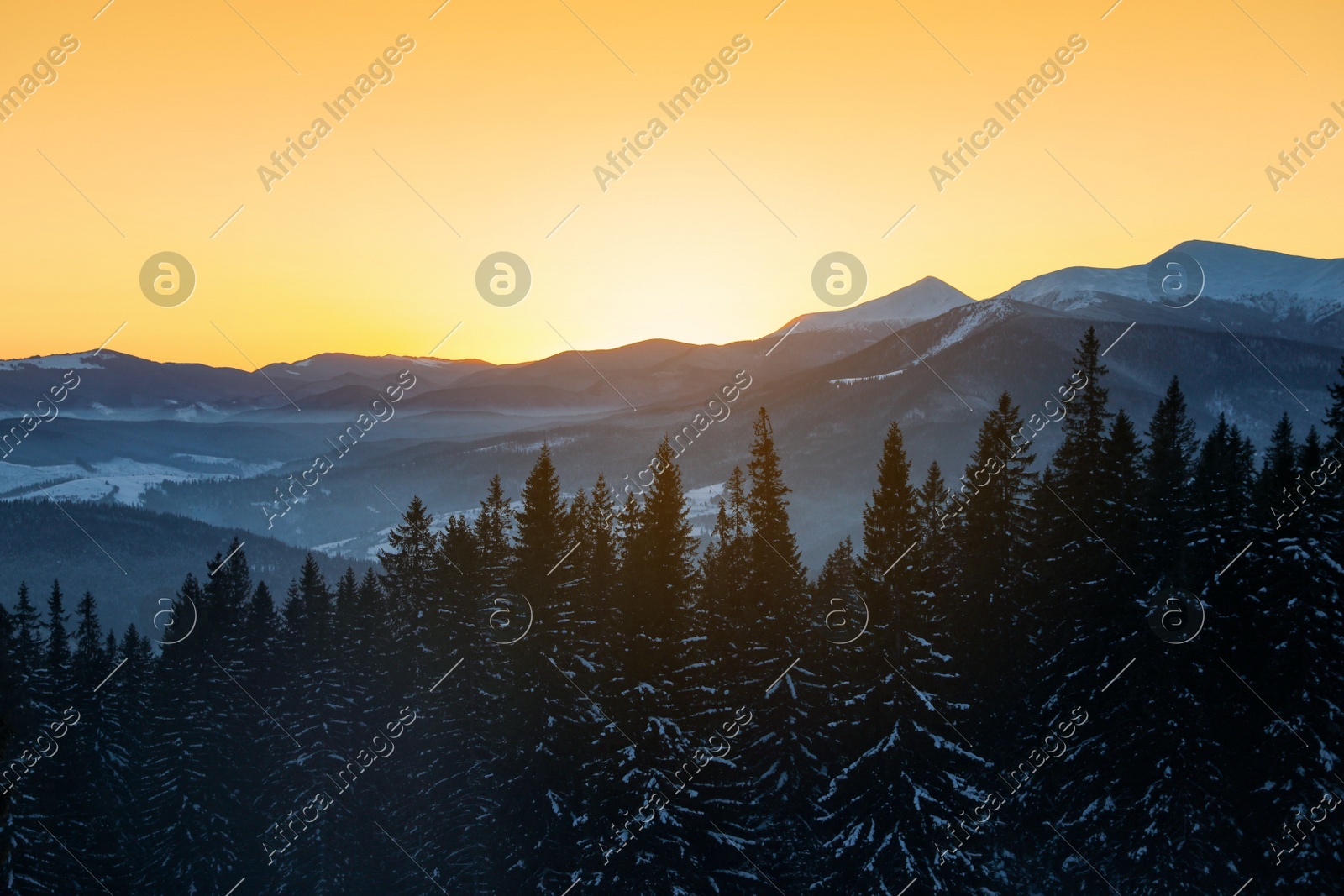 Beautiful mountain landscape with forest in winter Photo of Beautiful mountain landscape with forest in winter