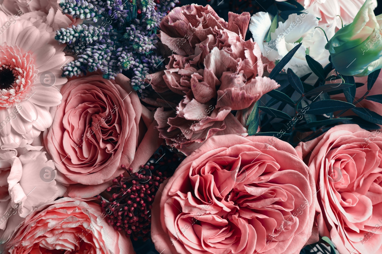 Beautiful bouquet, closeup. Floral card design with dark vintage effect Photo of Beautiful bouquet, closeup. Floral card design with dark vintage effect