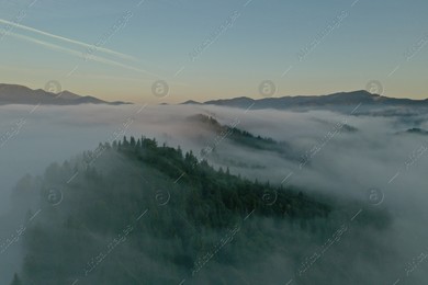 Aerial view of beautiful mountains and conifer trees on foggy morning Photo of Aerial view of beautiful mountains and conifer trees on foggy morning