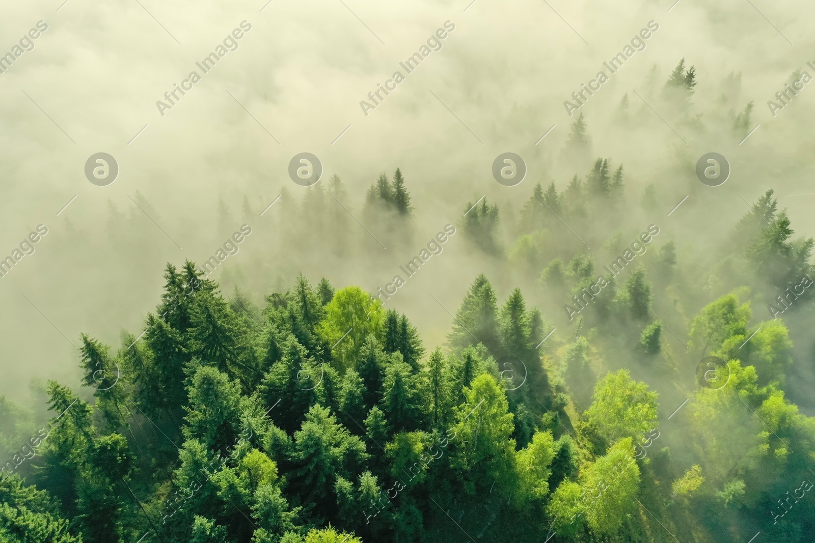 Aerial view of beautiful landscape with misty forest on autumn day Photo of Aerial view of beautiful landscape with misty forest on autumn day