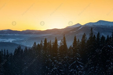 Beautiful mountain landscape with forest in winter Photo of Beautiful mountain landscape with forest in winter
